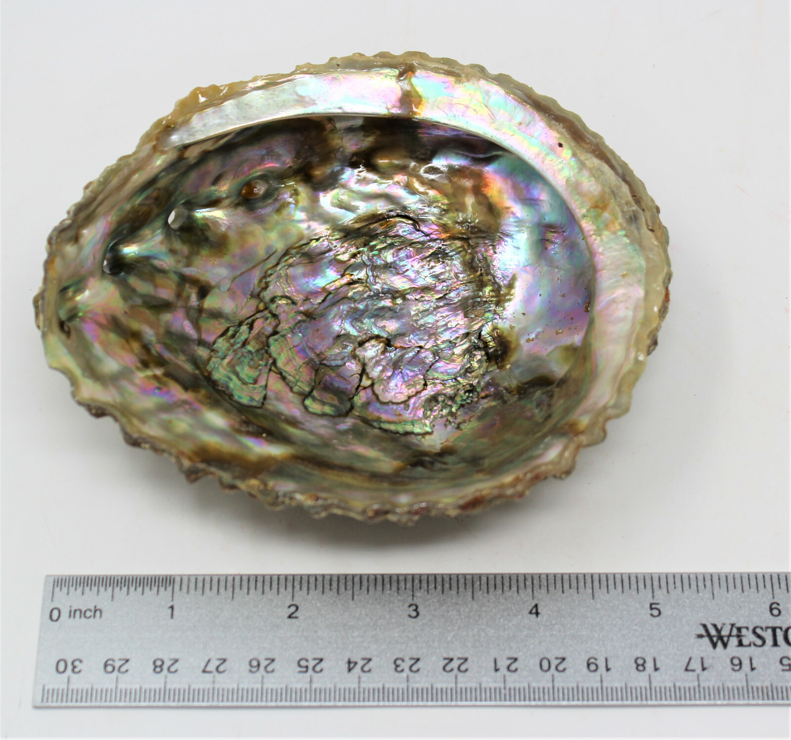 Smudge Kit: Abalone Shell, 6″ Stand, Sage Smudge Stick PLUS Directions
