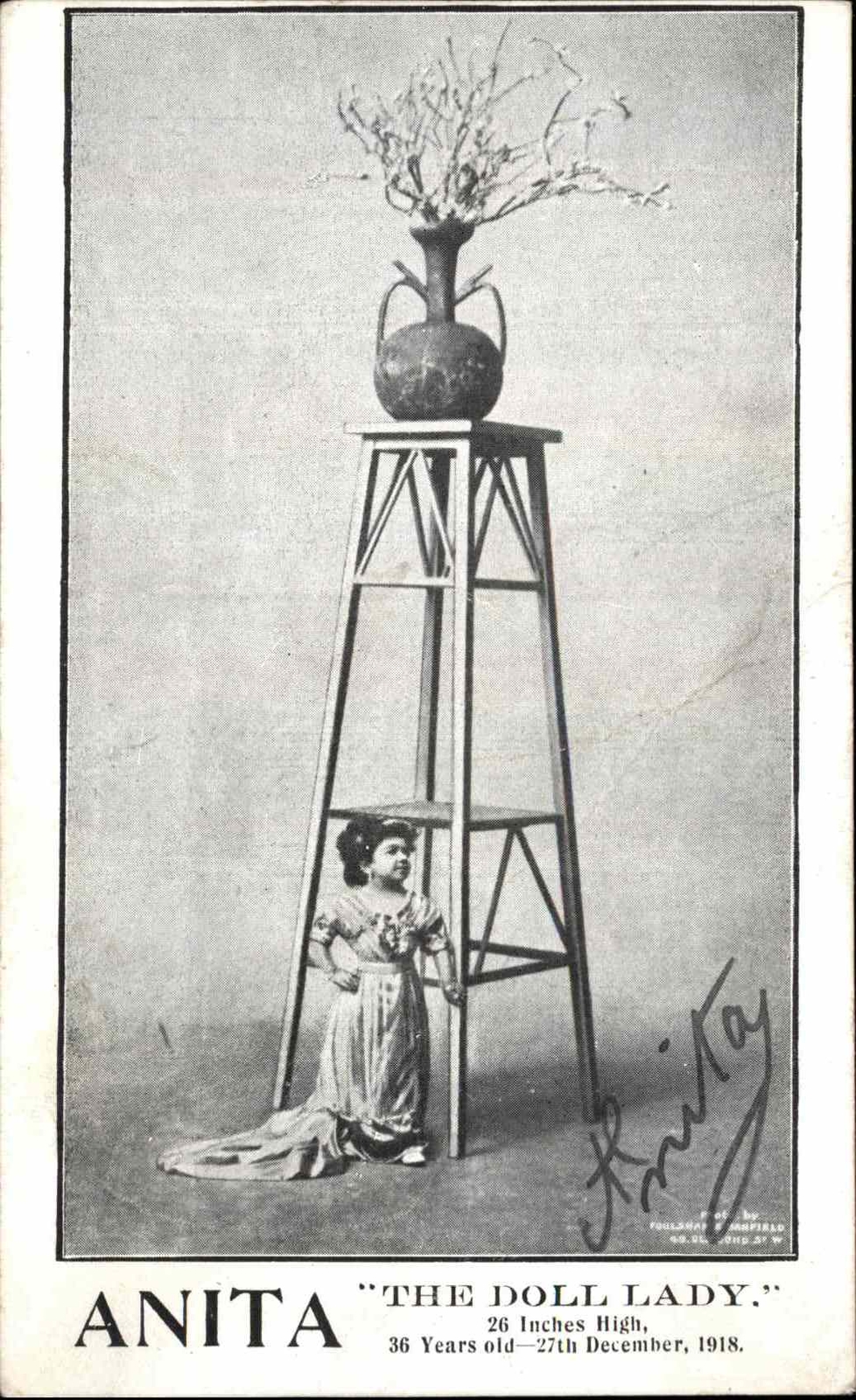 Postcard LITTLE PERSON Anita “The Doll Lady” LITTLE PEOPLE SOCIAL HISTORY