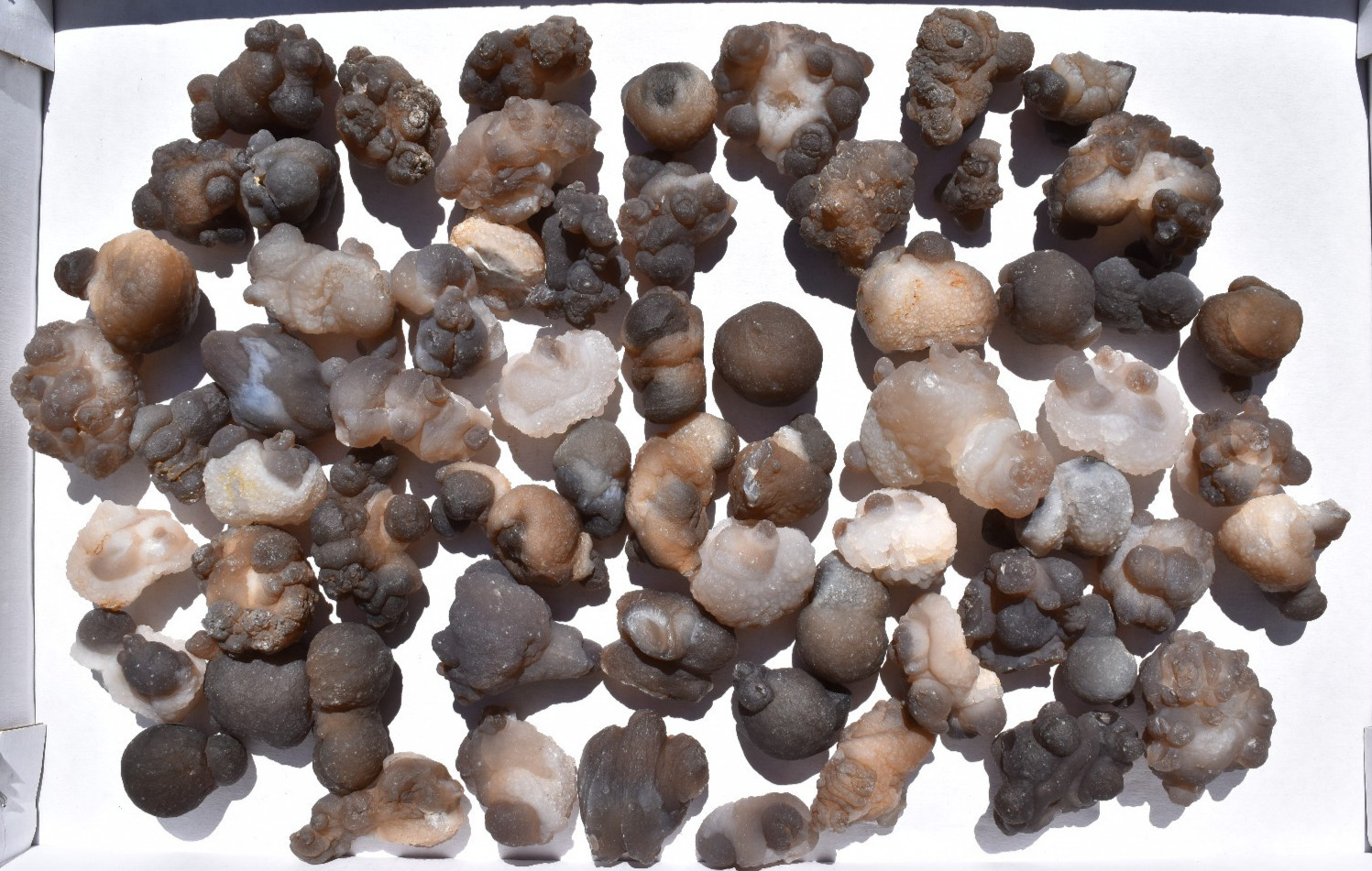 WHOLESALE Botryoidal Chalcedony / Agate from Morocco 2 kg # 5852