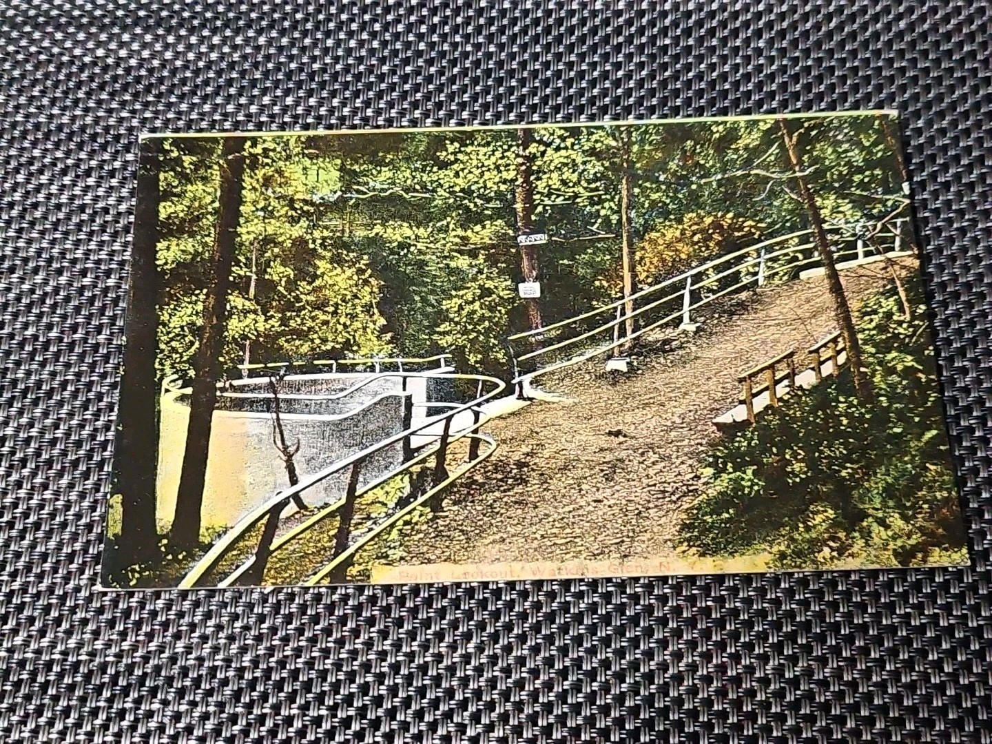 Watkins Glen NY-New York Point Lookout Baker Brothers Postcard 530