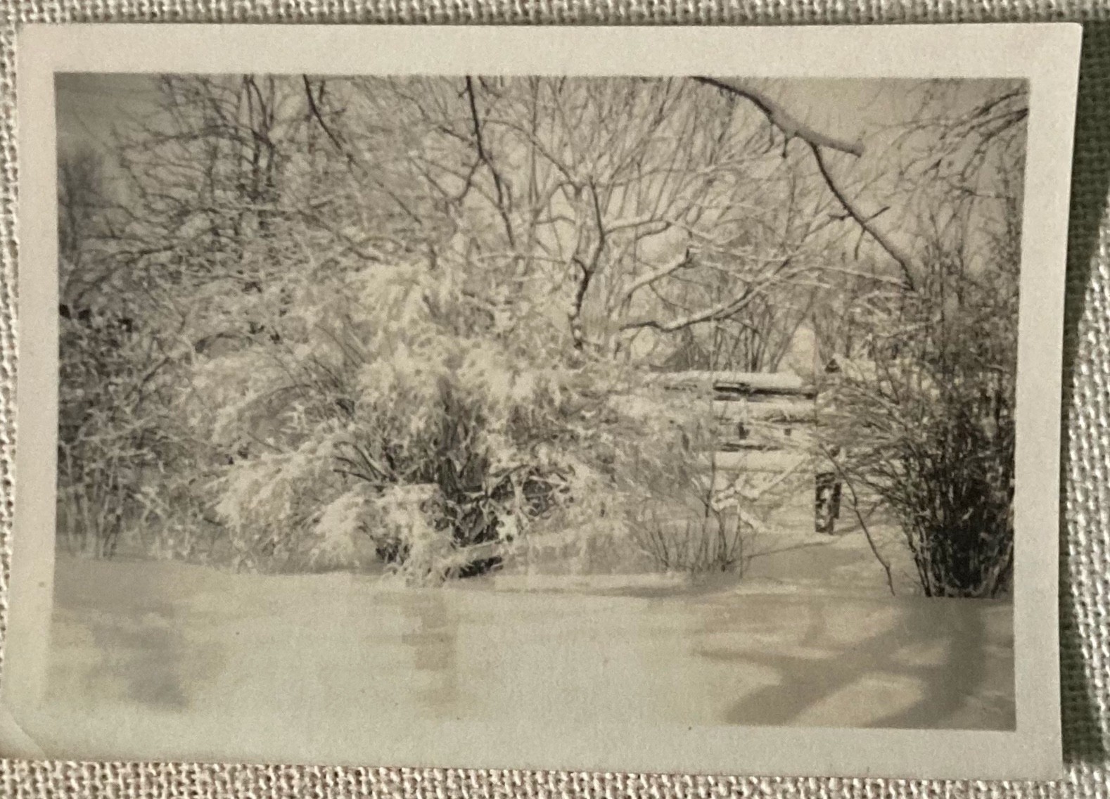 Vintage Photo Winter Snow Snowy Landscape Ice Black & White 3.5″ x 2.5″