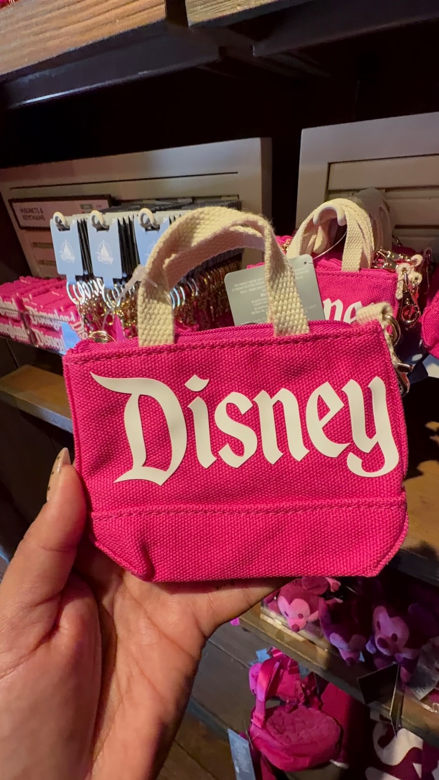 🩷New Disneyland Resort Pink Mini Canvas Tote Bag Keychain