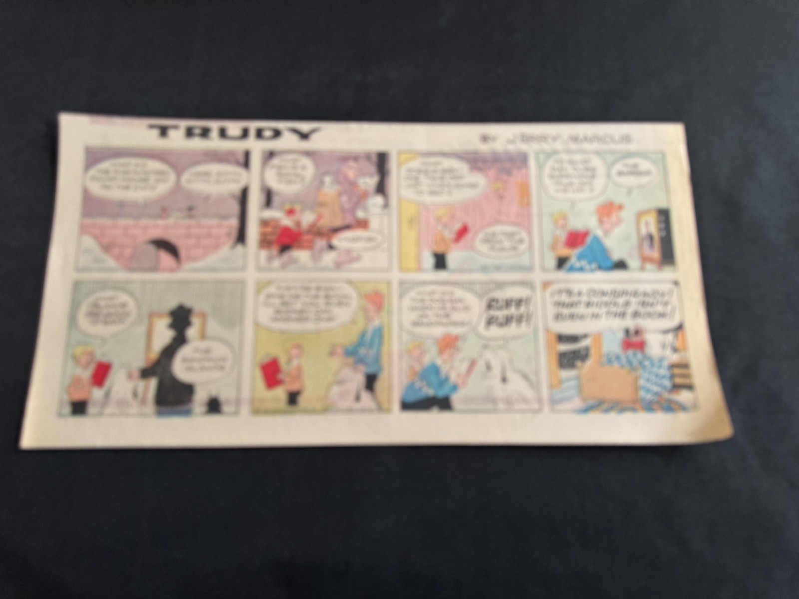 #06 TRUDY by Jerry Marcus Sunday Third Page Comic Strip January 19, 1975