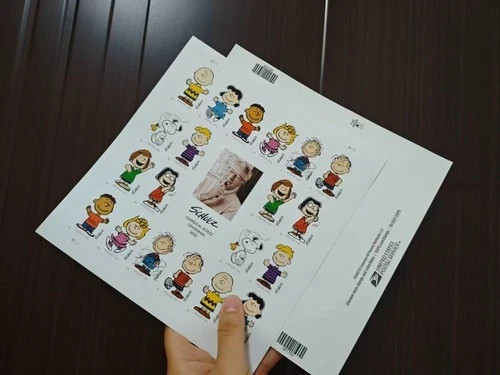 USPS 100PC USPS Charles Schulz “Peanuts” Forever Stamps Pane Unused Charlie Brow