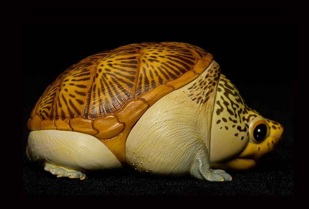 【In-Stock】 Animal Heavenly Body Narrow-Bridged Musk Turtle Claudius Statue