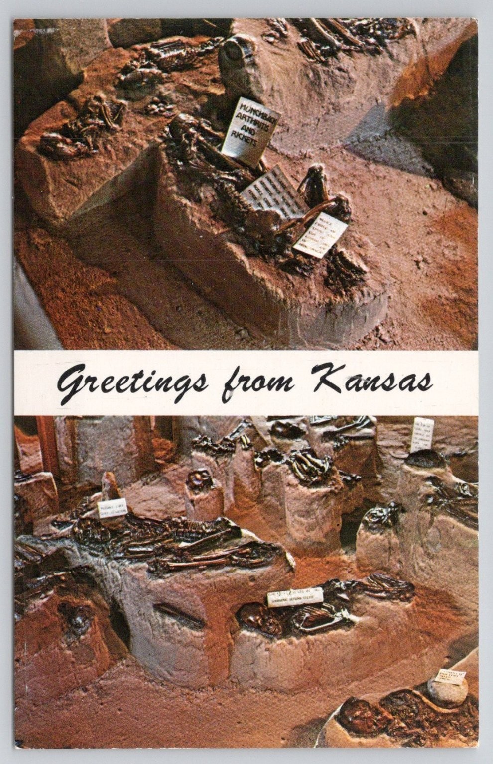 Greetings from Kansas Salina Indian Burial Pit Archaeological Postcard