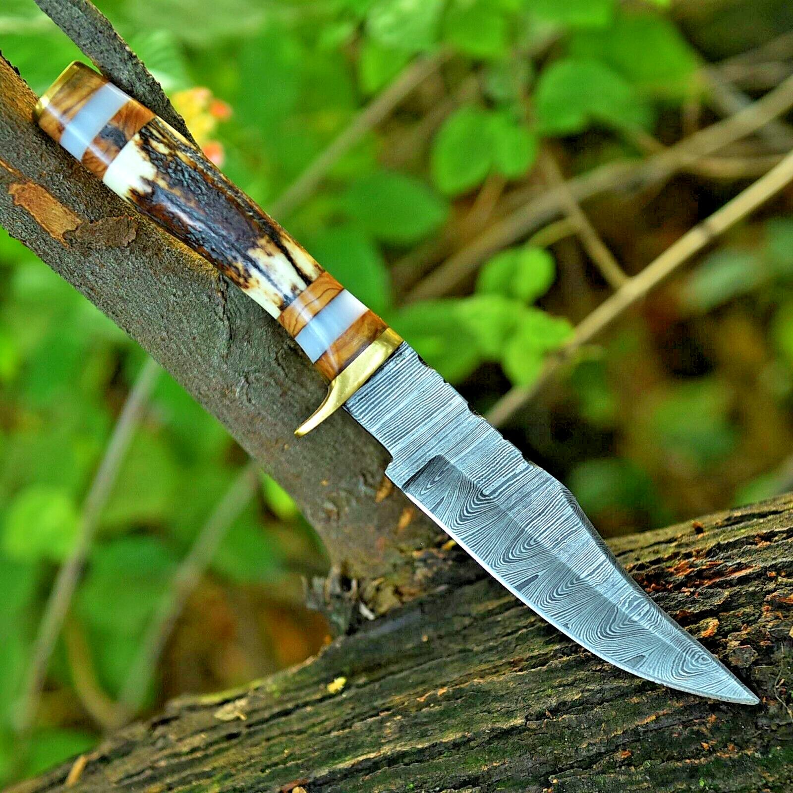 Forged Damascus Hunting Bowie knife Outdoor Tactical Camping Stag Handle- Trench