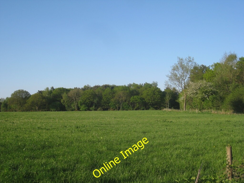 Photo 6×4 Field at Pexton Moor Ellerburn c2012