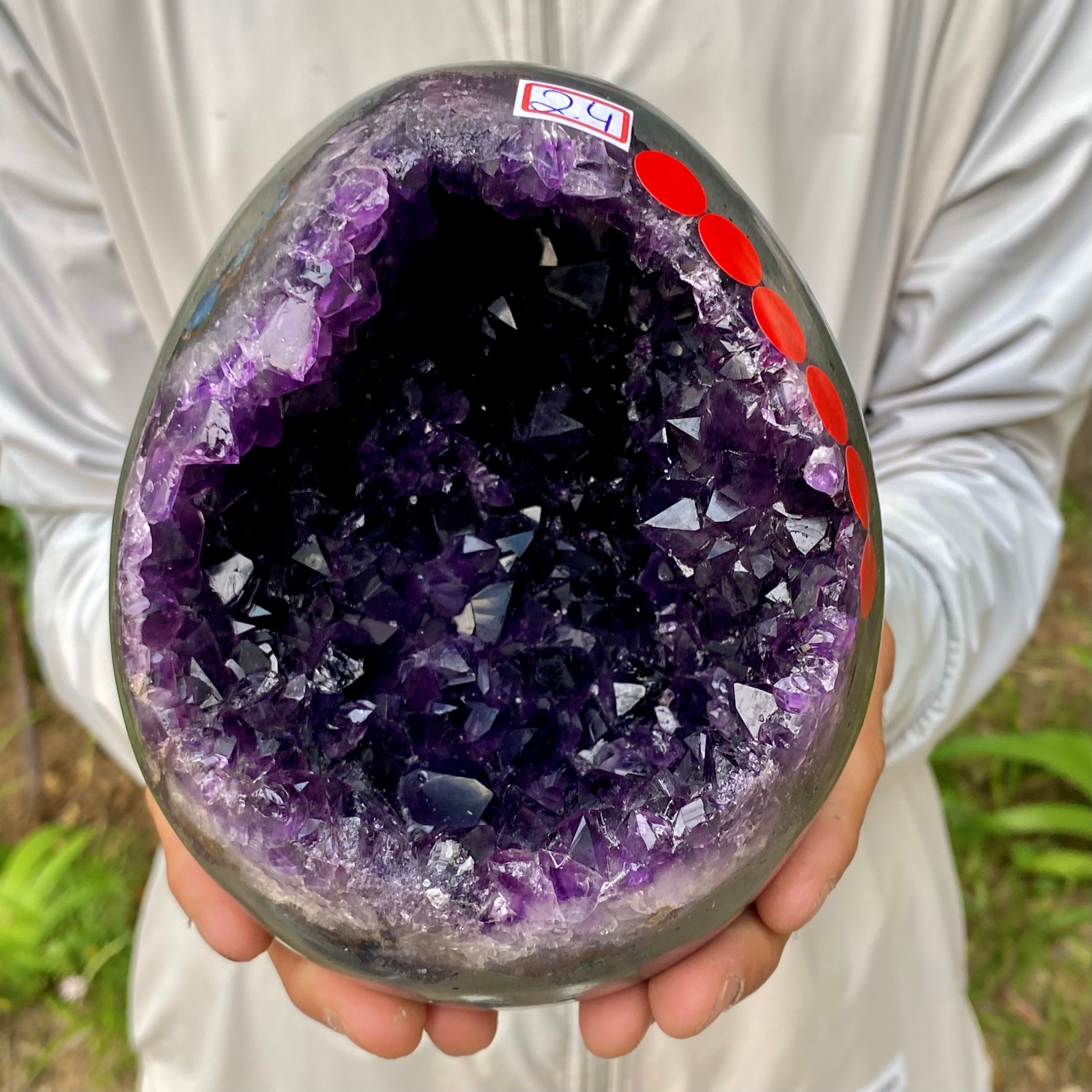5.29LB Natural amethyst Dinosaur egg Quartz Crystal specimen healing