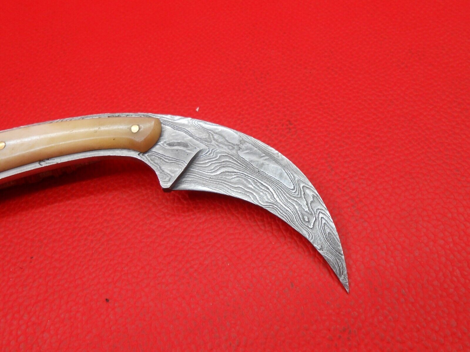 Pattern Damascus Custom Handmade Karambit Knife Camel Bone Handle S576