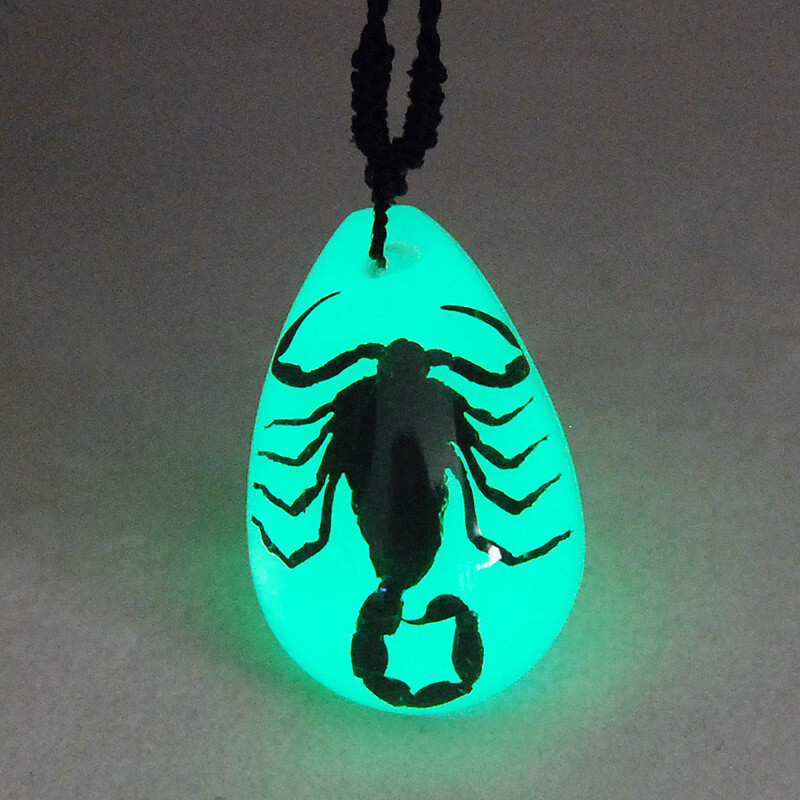 REAL BLACK SCORPION GLOW LUCITE PENDANT NECKLACE INSECT JEWELRY TAXIDERMY GIFT