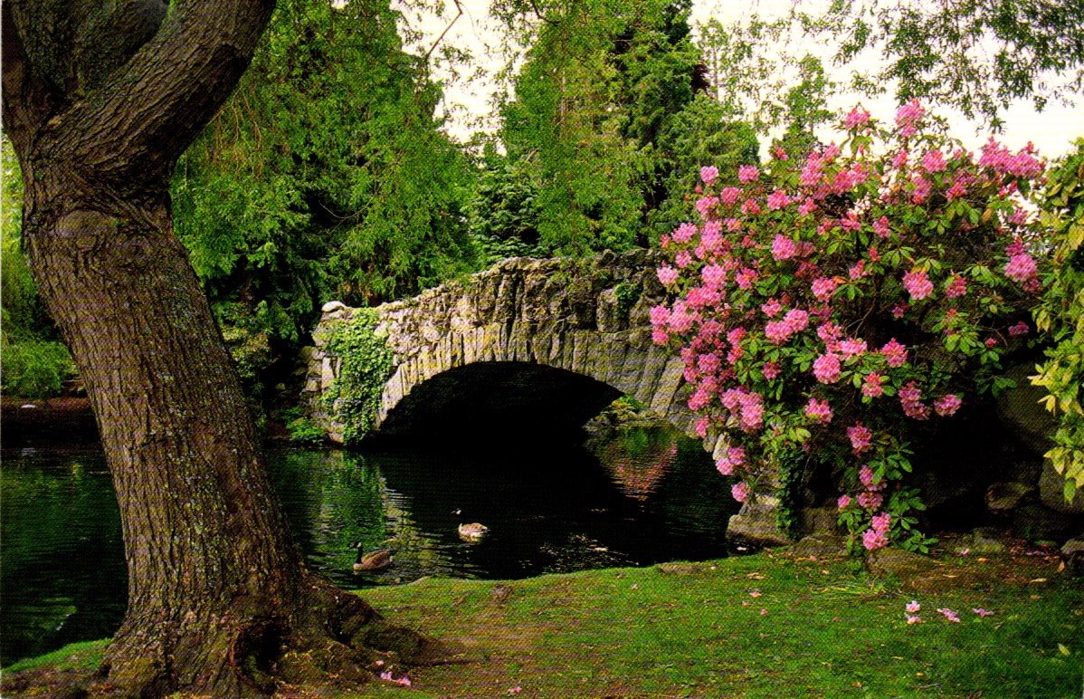 Postcard Bridge and flowers.