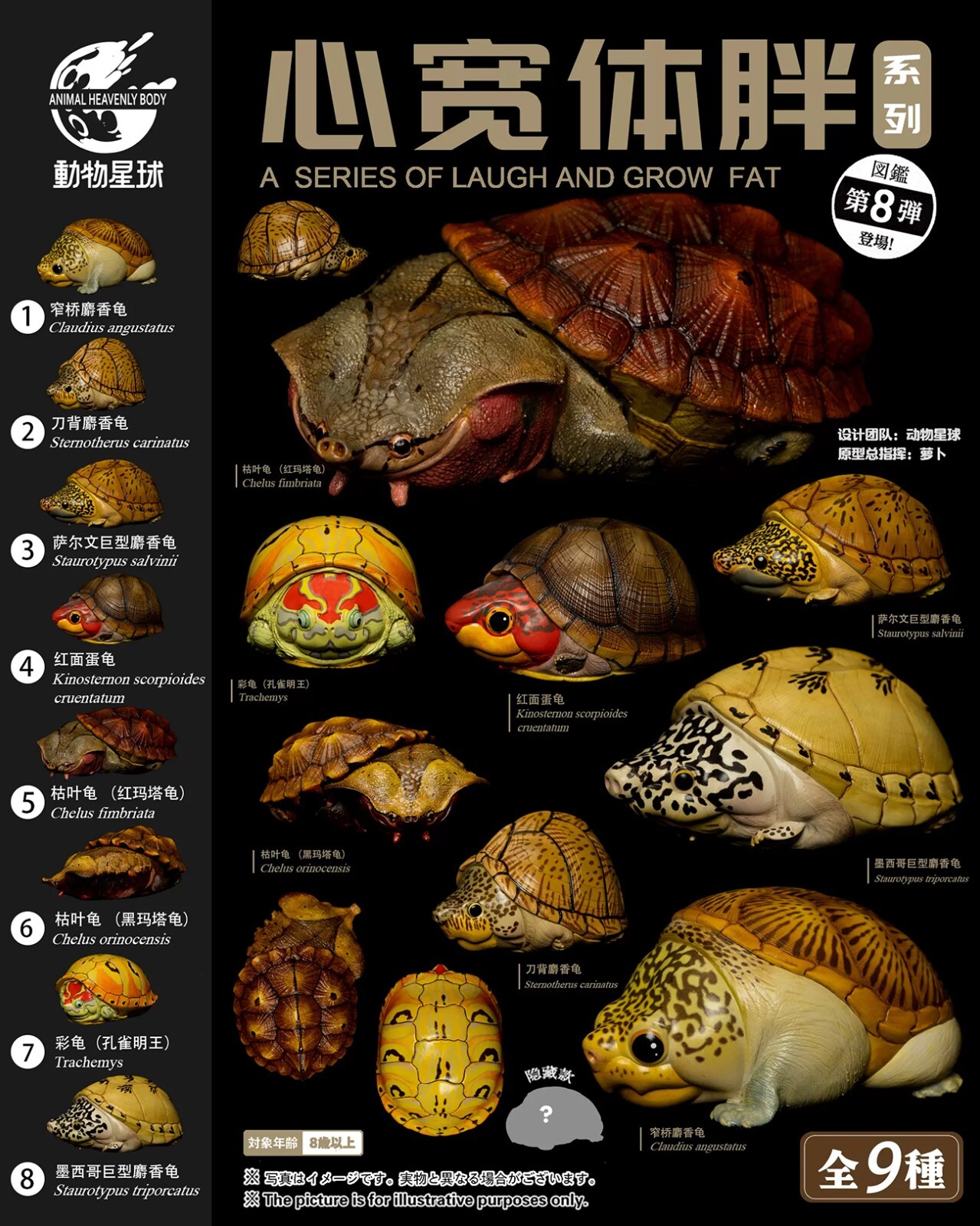 【In-Stock】 Animal Heavenly Body Narrow-Bridged Musk Turtle Claudius Statue