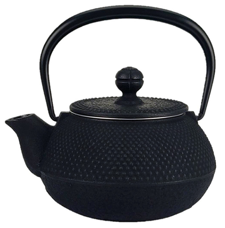 Iwachu Nambu Tekki Arare Cast Iron Kyusu Teapot 0.32L Black Japanese Tea Pot