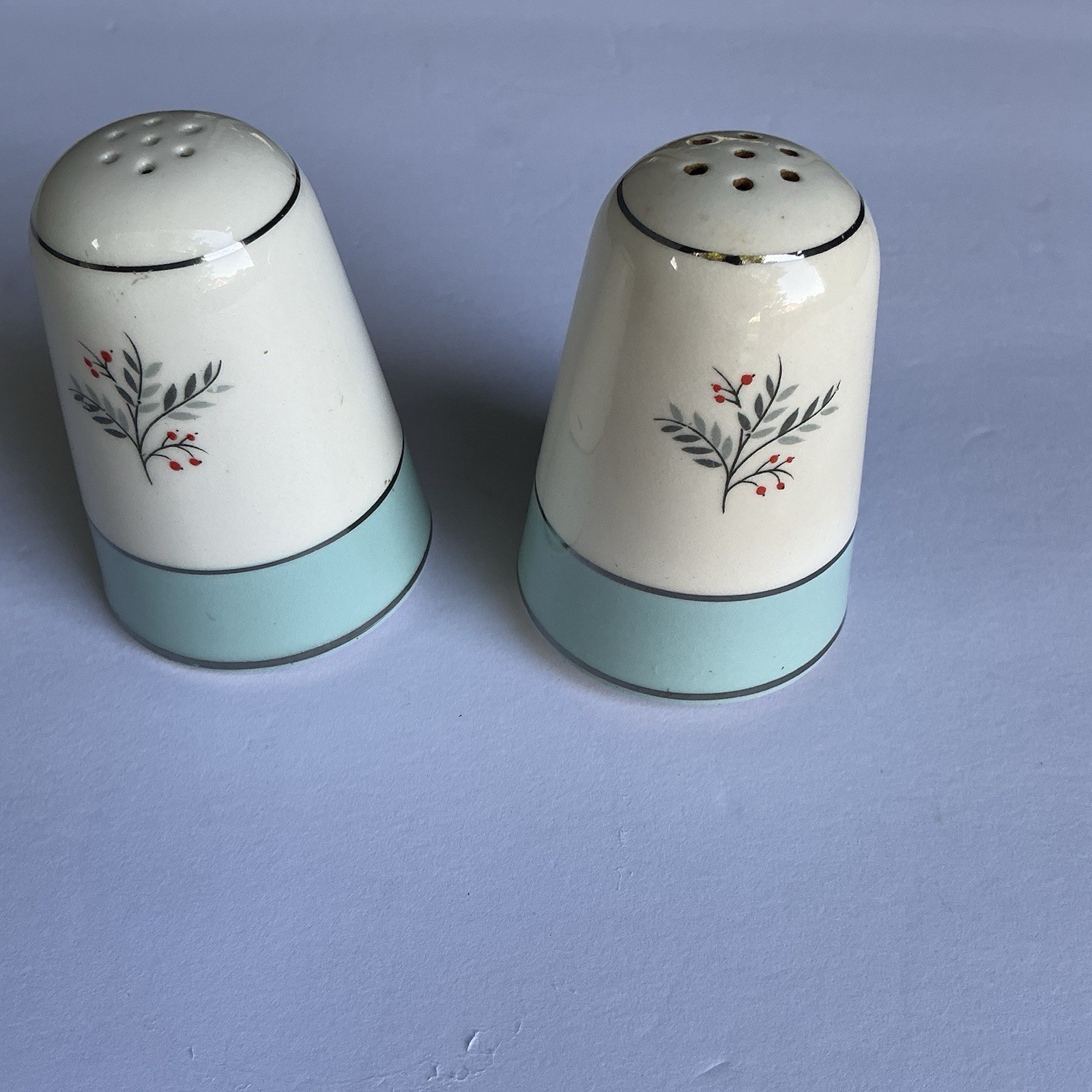 Homer Laughlin Cavalier Eggshell Triumph Seven Holes Salt And Pepper Shakers