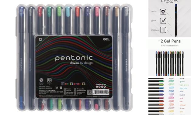 Gel Pens In Pen Organizer Case, 12 Count, Assorted Colored Ink, 0.6 mm, Chisel