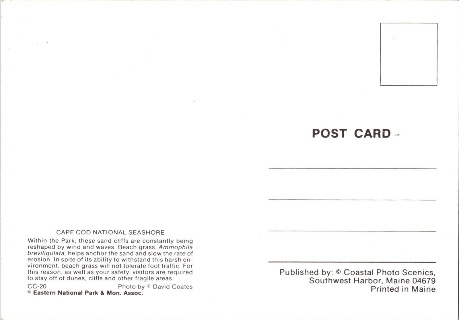 Continental Postcard Cape Cod National Seashore Massachusetts CE14