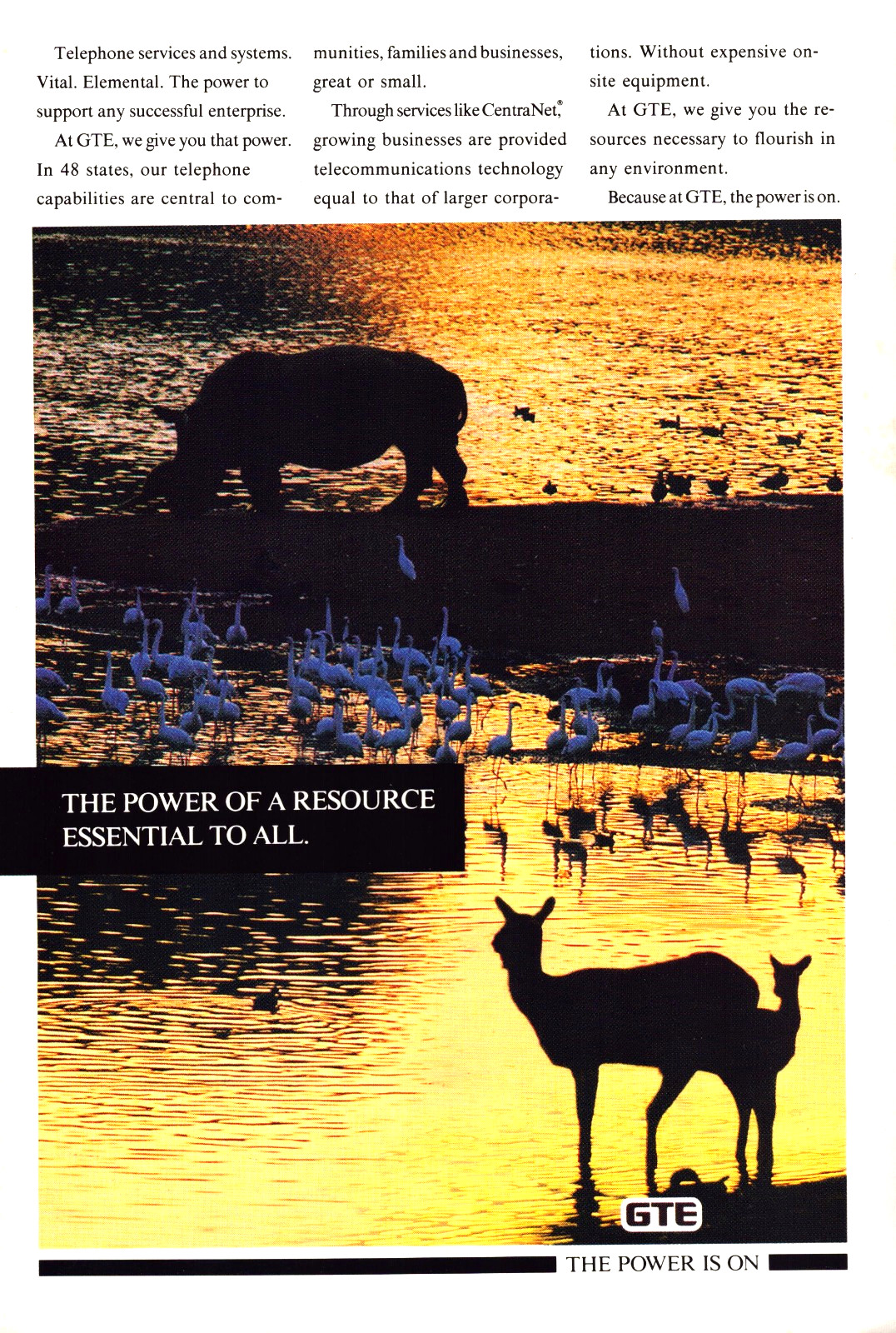 GTE General Telephone “The Power is On” Rhino Deer Birds Vintage Print Ad 1991