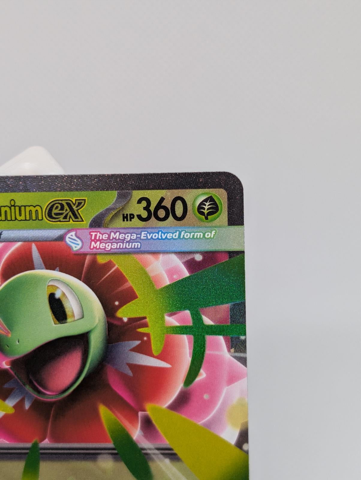 Mega Meganium ex 034 Holo Promo ME: Mega Evolution Promo Pokemon Lightly Played