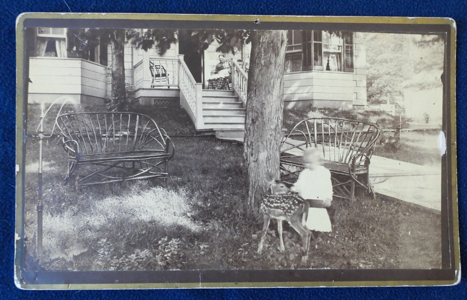 Antique 1890s 1900s Home Portrait PHOTO Girl Pets Baby Deer House Yard Porch Mom